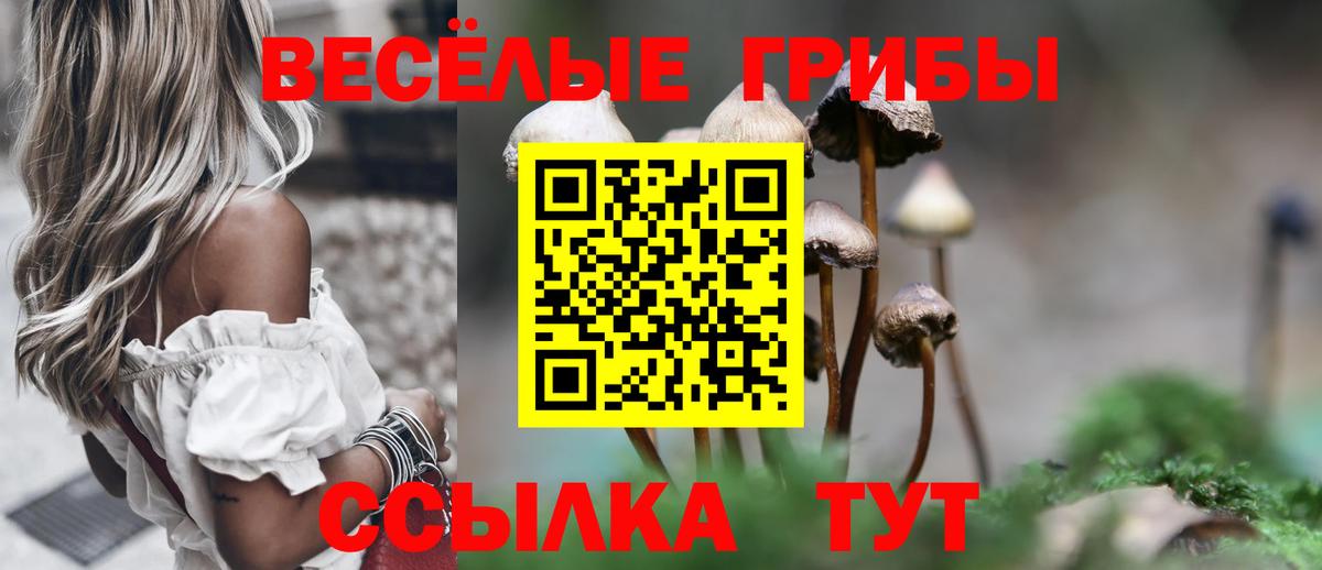Псилоцибиновые грибы Cubensis  Псилоцибиновые грибы Psilocybe  Вход с VPN  где купить наркоту  Зеленокумск 
